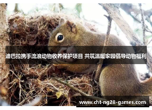 迪巴拉携手流浪动物收养保护项目 共筑温暖家园倡导动物福利